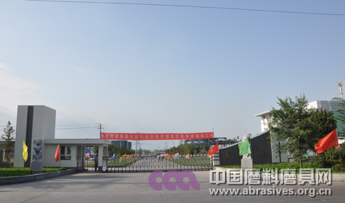 2011新疆绿碳化硅高峰论坛工厂考察之二
