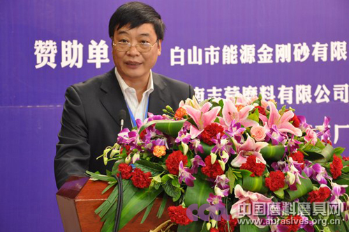 专家委员会副主任委员赵新力教授