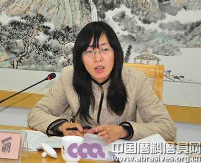 《碳化硅产品出口质量安全手册》评审鉴定会在郑州举行