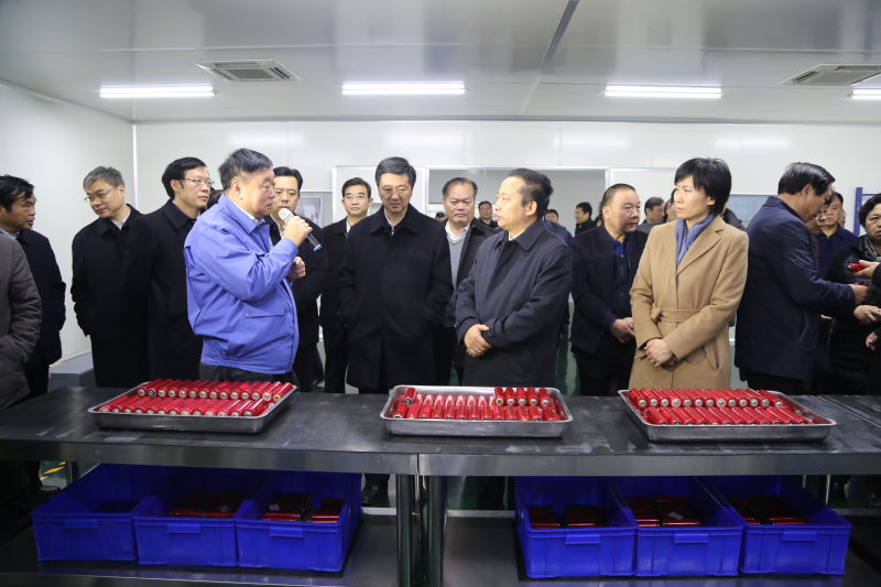 开封市四大班子领导到易成新能观摩调研