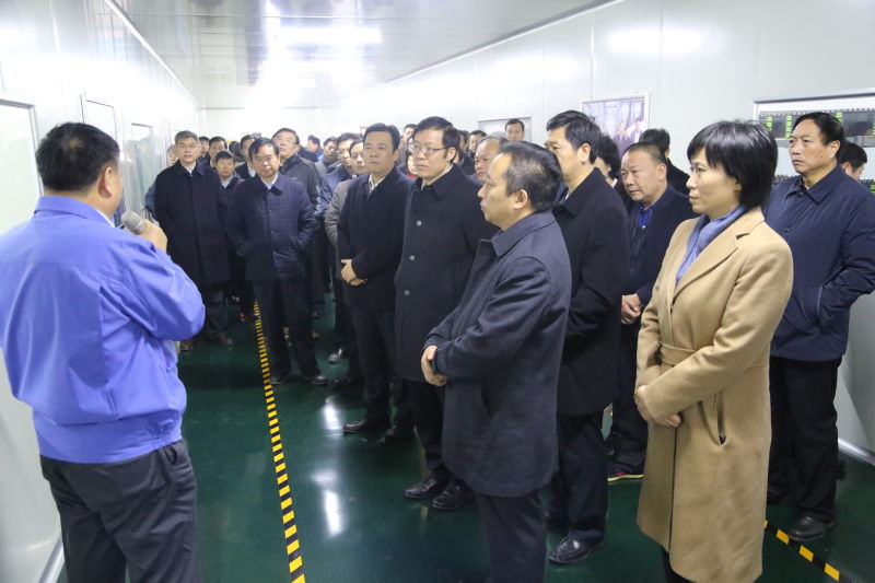 开封市四大班子领导到易成新能观摩调研