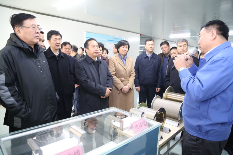 开封市四大班子领导到易成新能观摩调研