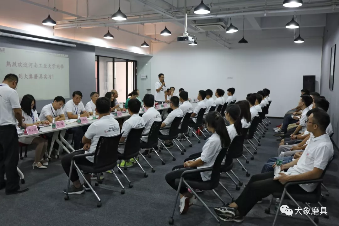 数十学子携梦奔赴大象磨具 为大象磨具注入青春力量