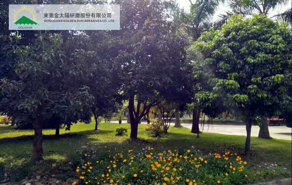 东莞金太阳研磨股份有限公司招聘启事