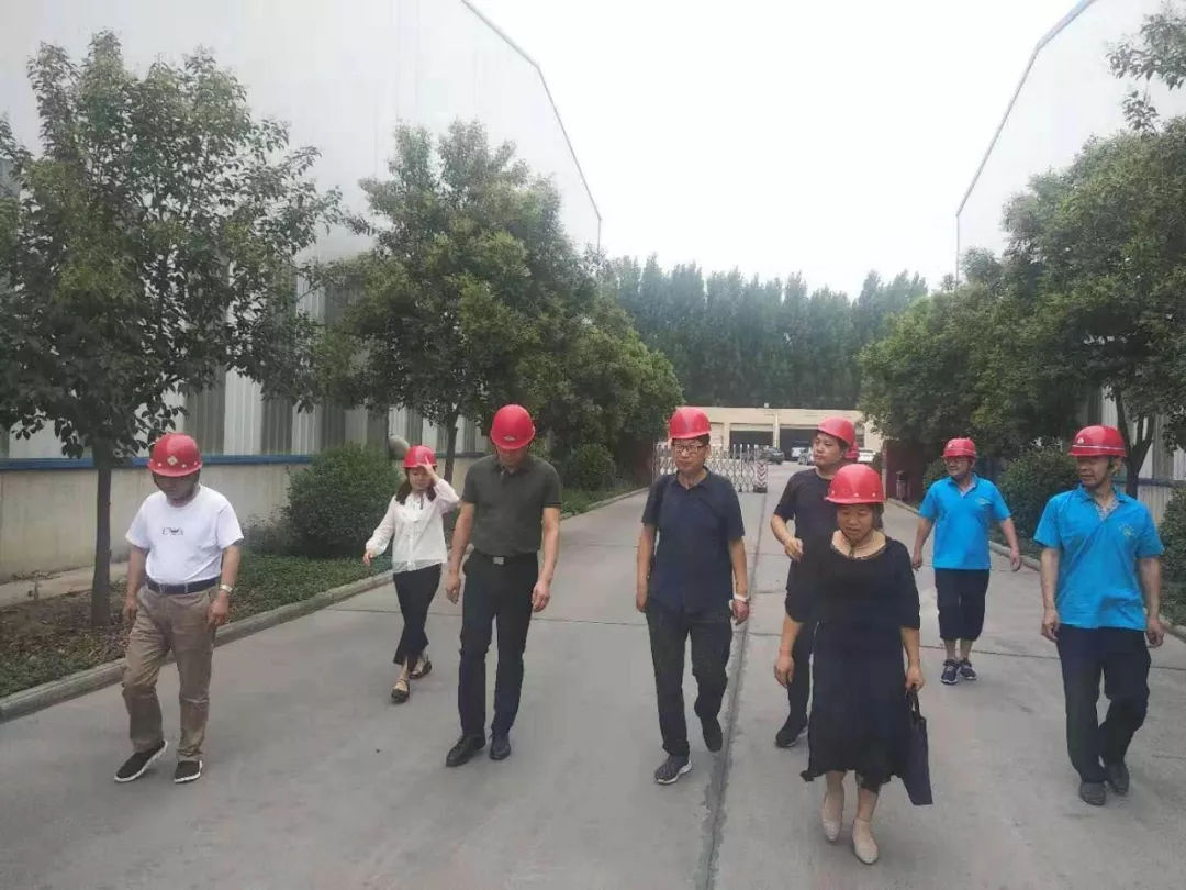 河南省厅专家组对上街刚玉、磨料行业进行调研帮服