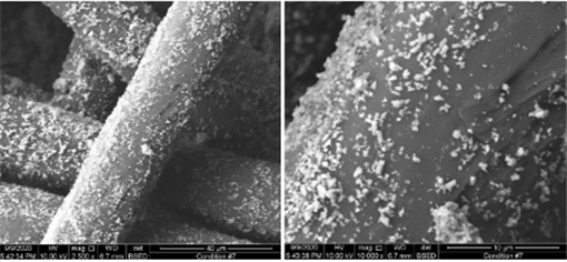 里程碑：氮化硅抗菌植入物及相关材料美国专利获批 