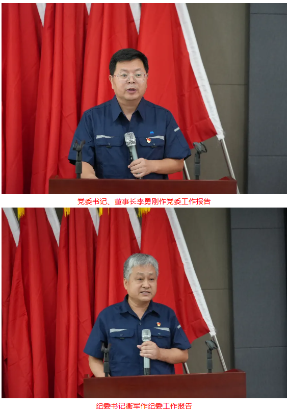 白鸽公司圆满完成党委、纪委换届选举工作开启党建引领高质量发展新征程